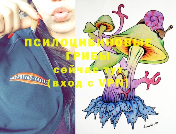 дмт Аркадак