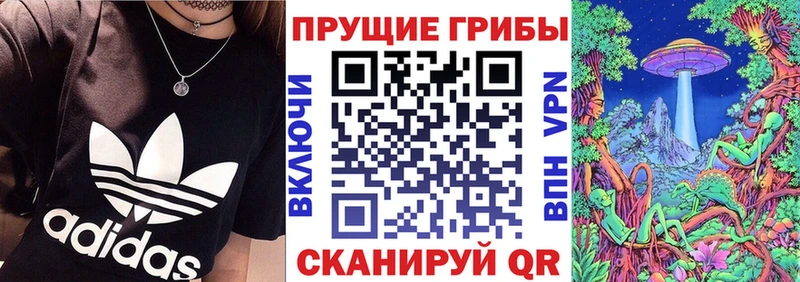 купить цена Краснодар Галлюциногенные грибы Psilocybine cubensis